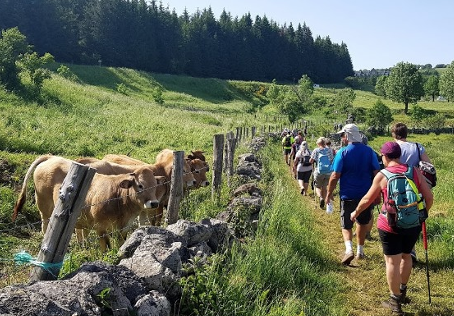 SÉJOUR EN AUBRAC À LAGUIOLE – Image 2